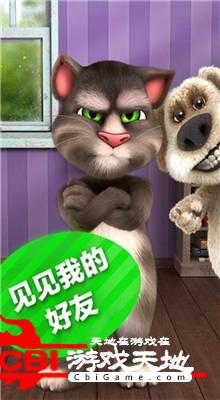 学舌猫图1