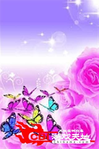 玫瑰蝴蝶主题壁纸桌面图3