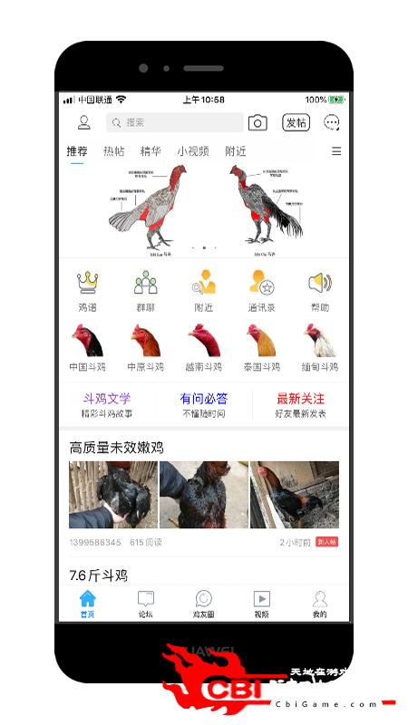 中国斗鸡论坛随机聊天软件图0