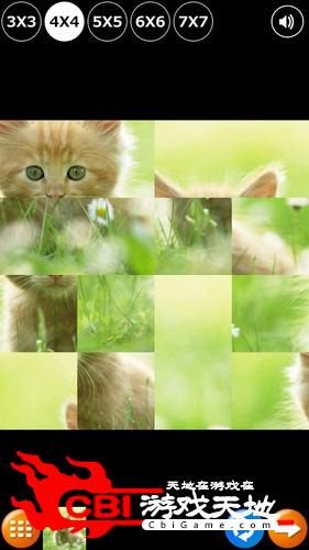 瓷砖拼图可爱的小猫图1
