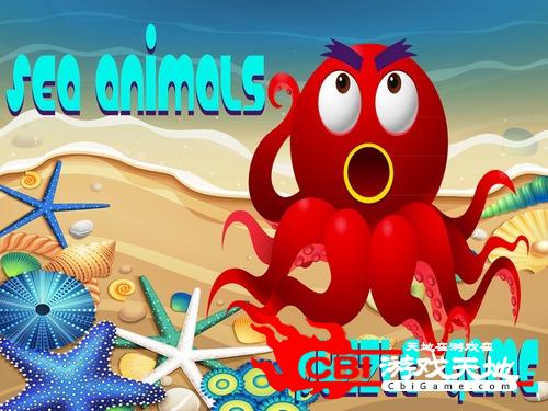 海洋动物的益智游戏图2