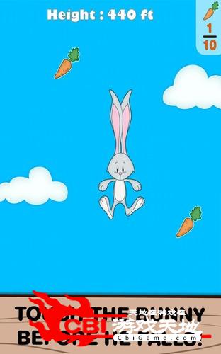 飞行的小兔子图0