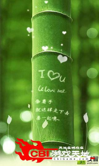 竹之语-绿豆动态壁纸美女图2