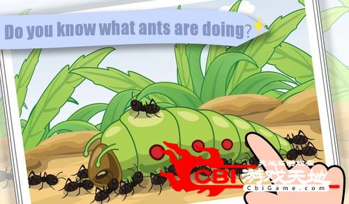 蚂蚁图1