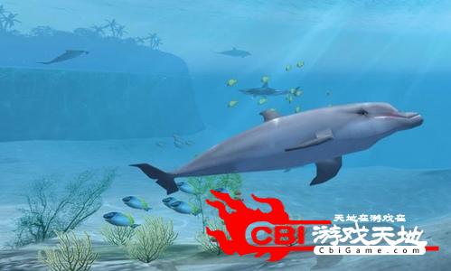 鲨鱼VR图0