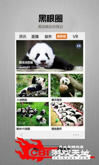 金熊猫电视直播图2