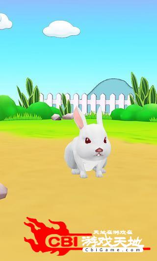 小兔子3D壁纸宠物图3