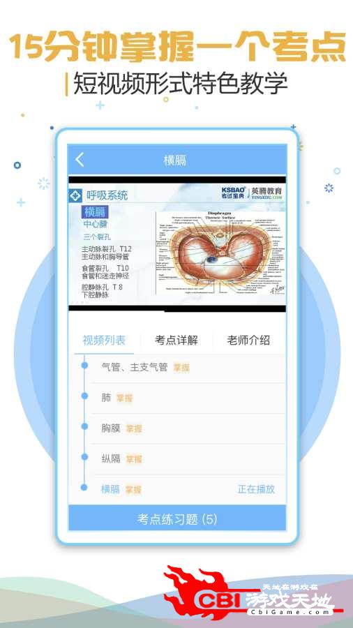 职业合集考试宝典图2