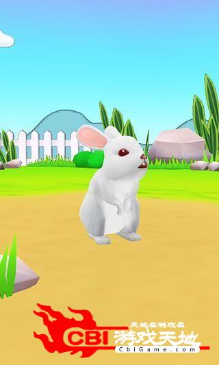 小兔子3D壁纸宠物图0