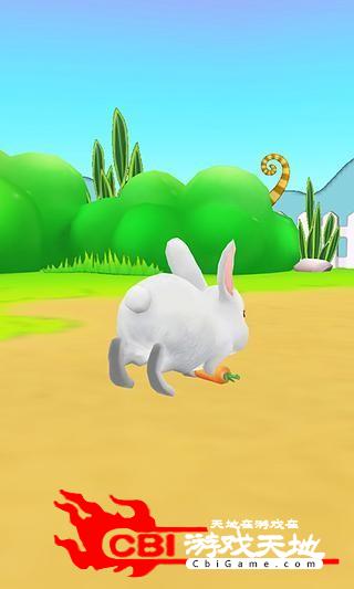 小兔子3D壁纸宠物图4