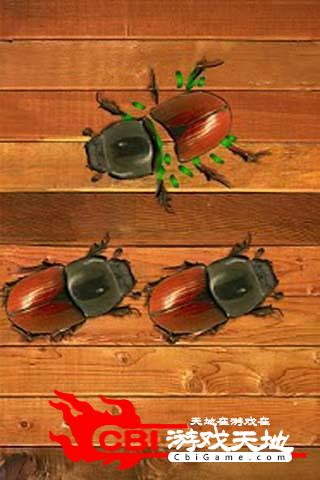 杀手甲虫图4