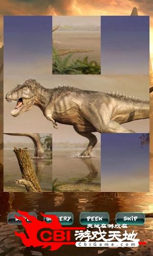恐龙之谜图5