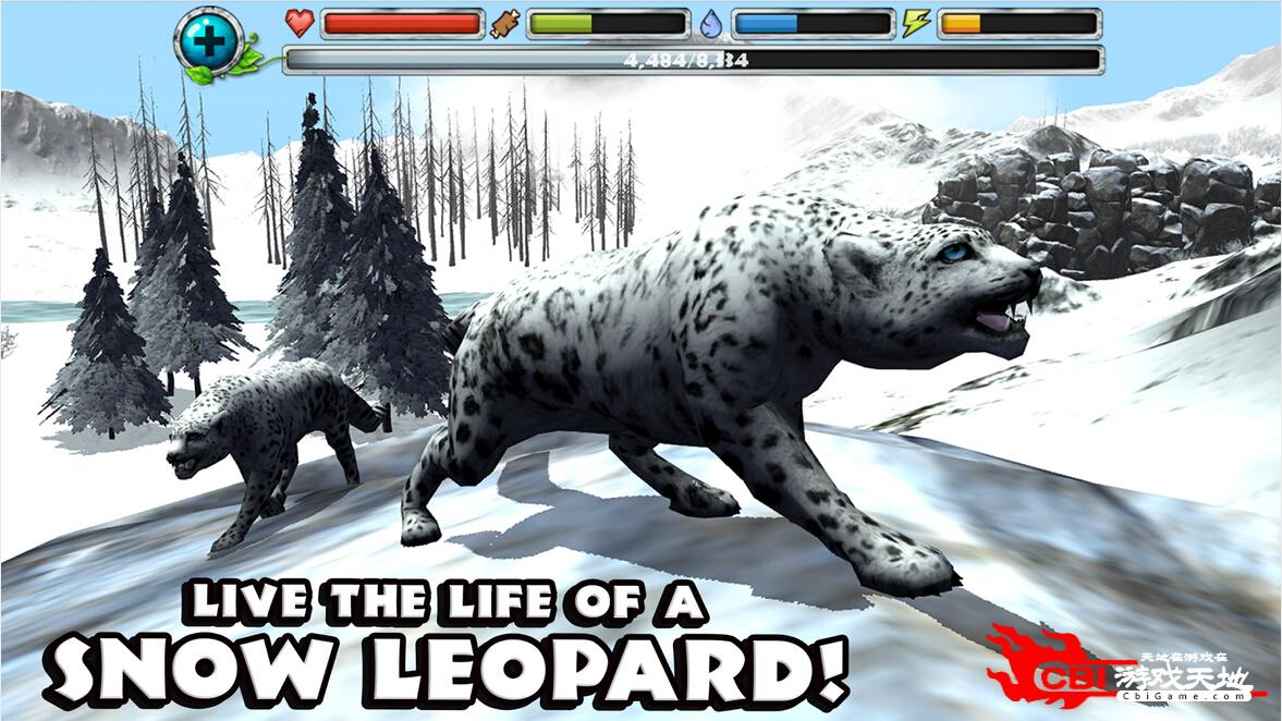 雪豹模拟图2
