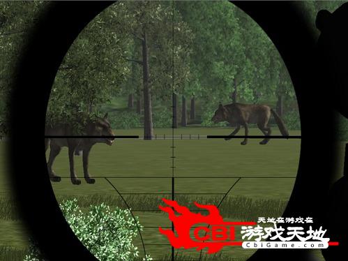 杀狼狙击手3D狩猎图1
