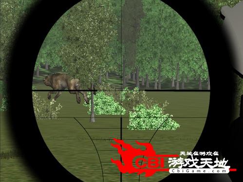 杀狼狙击手3D狩猎图5