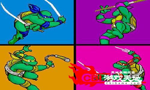 超级神龟图2