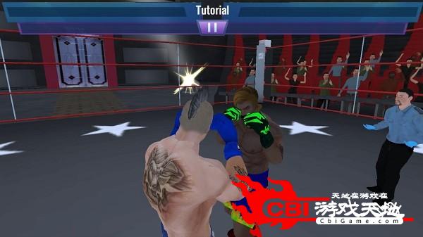 真实拳击3D图0