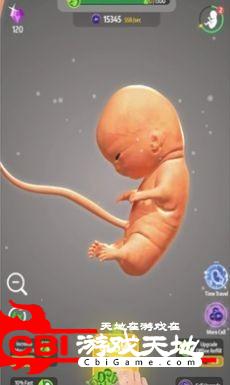 怀胎模拟器图2