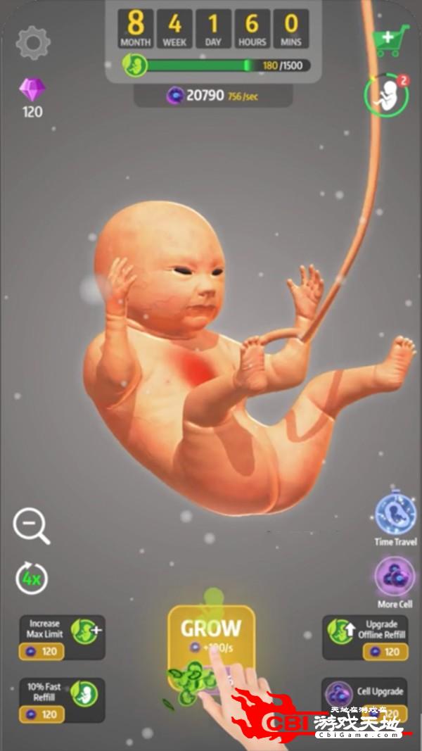 怀胎模拟器图1