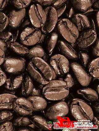 咖啡豆图0