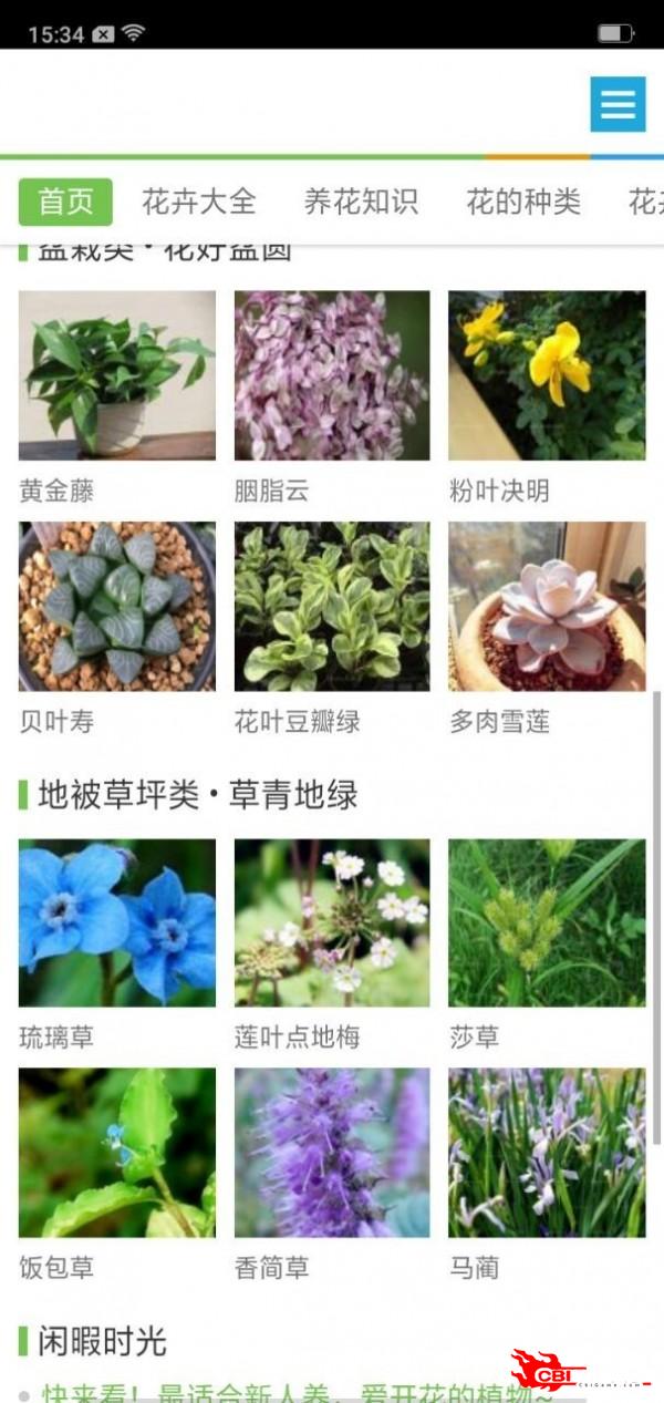 植物库图3