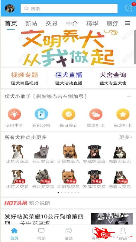 猛犬俱乐部图1