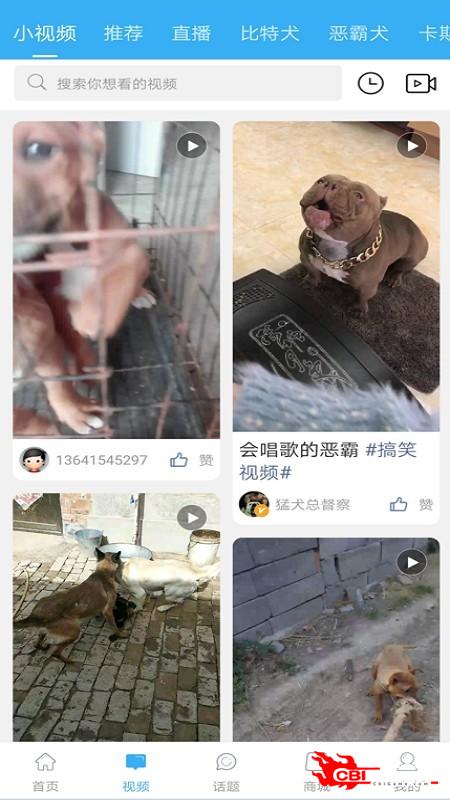 猛犬俱乐部图0