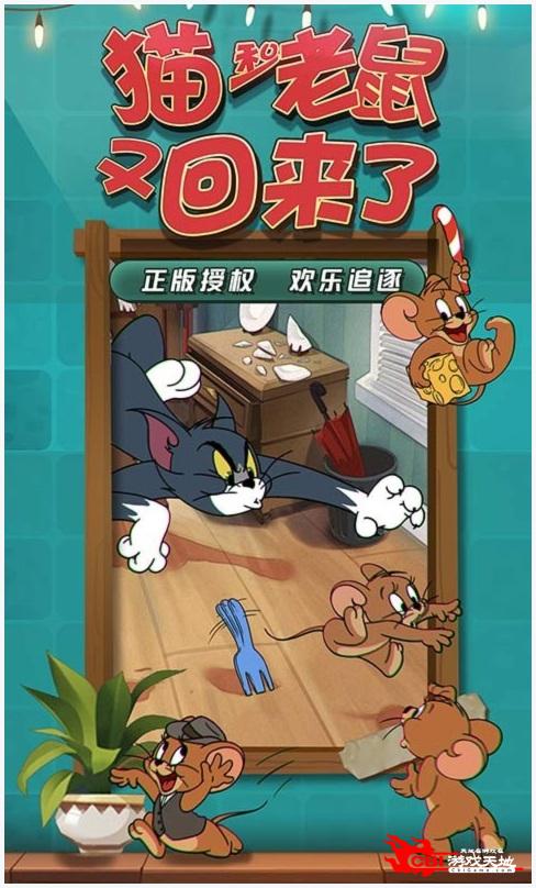 猫和老鼠共研服图1