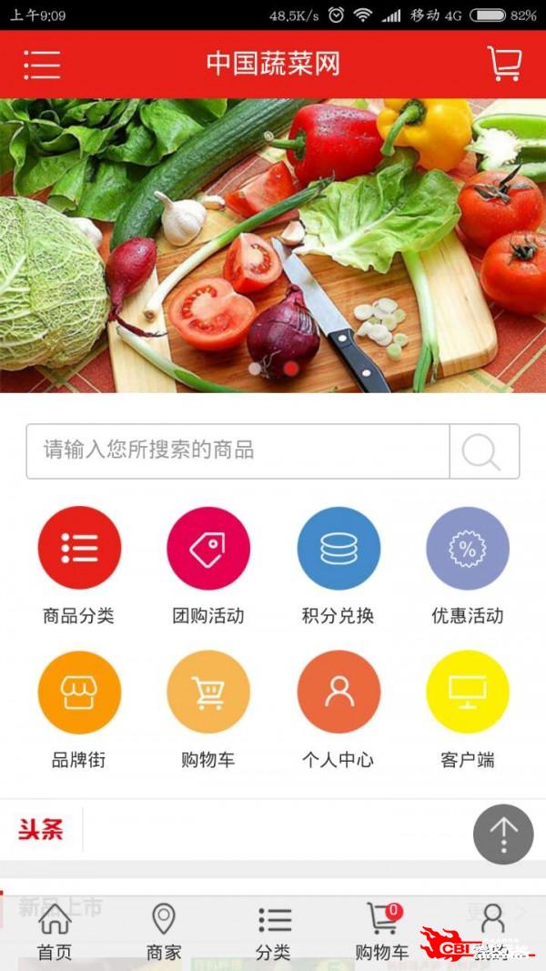 中国蔬菜网图2