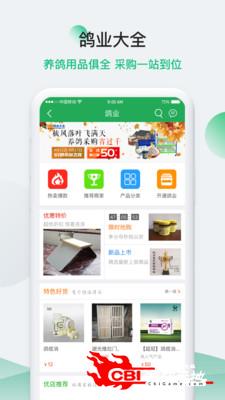 中国信鸽信息网图0