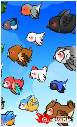 Bird图2