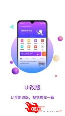 大账房图3