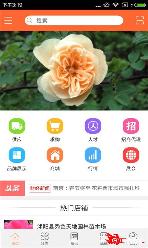 花卉种子图1