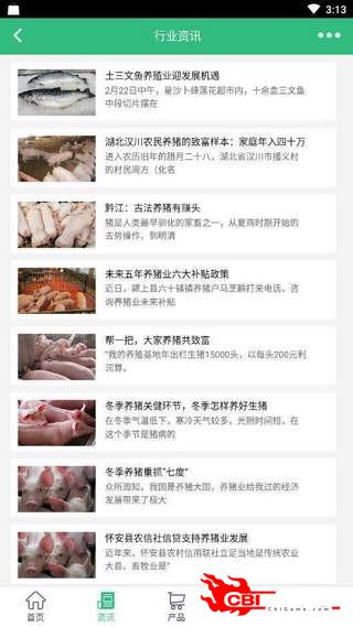 中国养猪网图1