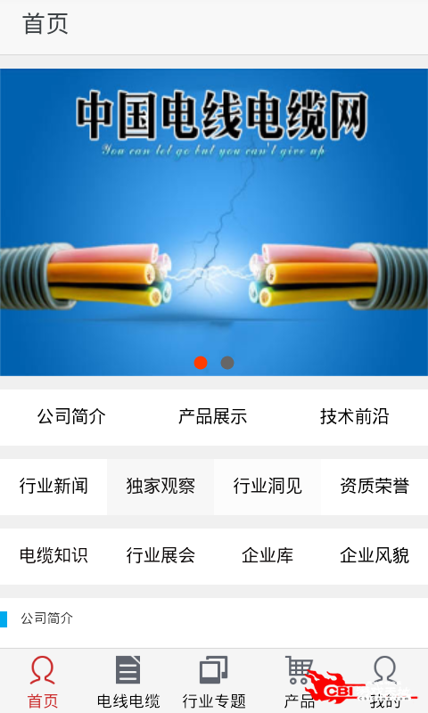 电线电缆网图2
