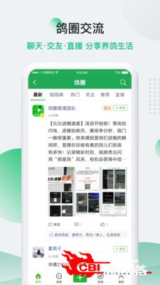 中国信鸽信息网图4