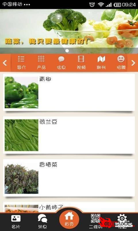 绿色蔬菜图3