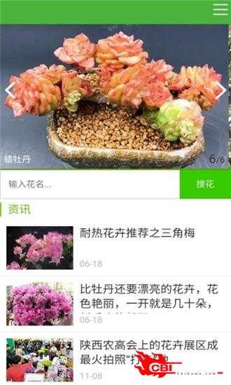 花草种植图2