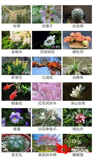 花草种植图0