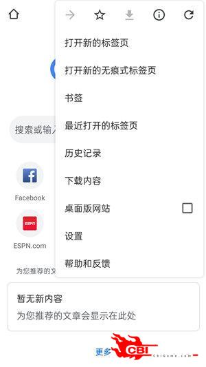 chrome浏览器图0