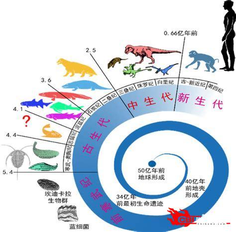 生物进化图2