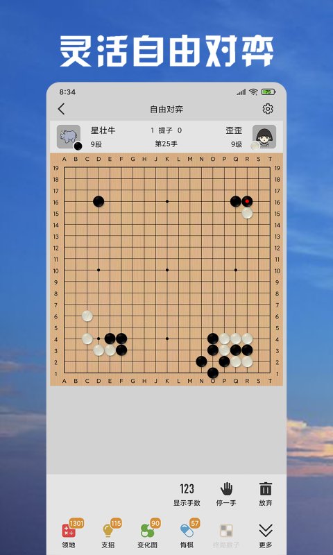 星阵围棋图2