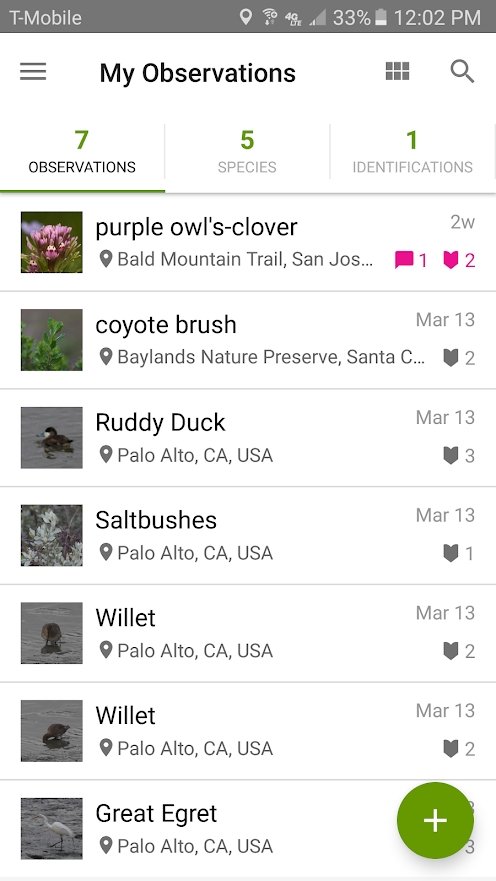 inaturalist app(动物昆虫识别软件)图0