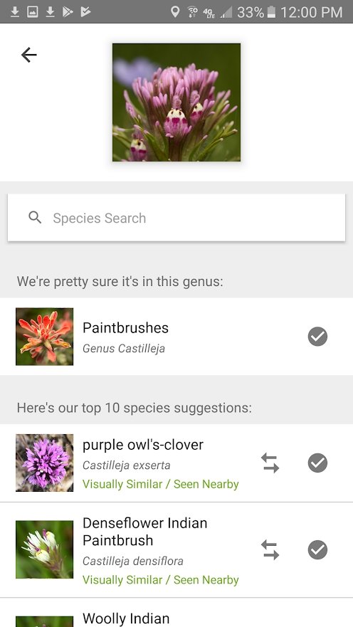 inaturalist app(动物昆虫识别软件)图1