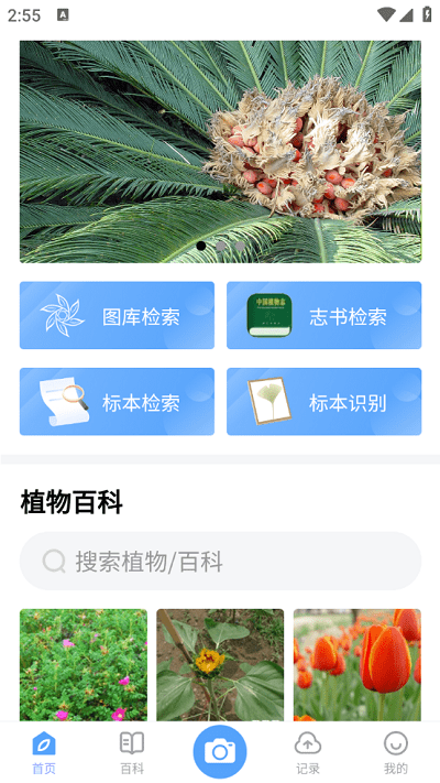 植物智官方版图0