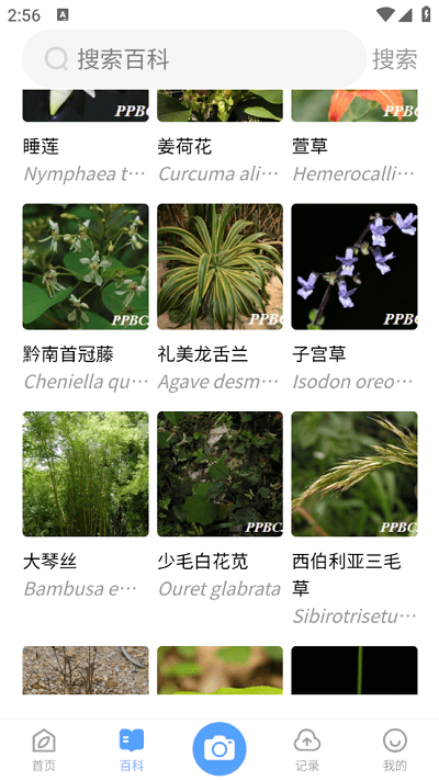 植物智官方版图1