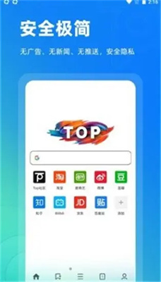 Top浏览器图1