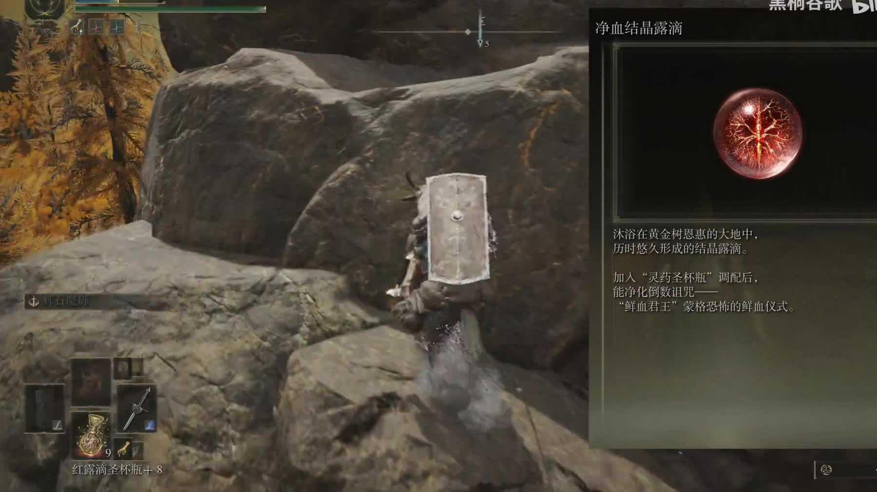 斗罗大陆3D魂师对决：唐晨孔雀队配队及玩法攻略！暗器队里的多桩王者！